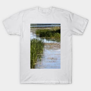 Serpentine Marsh T-Shirt